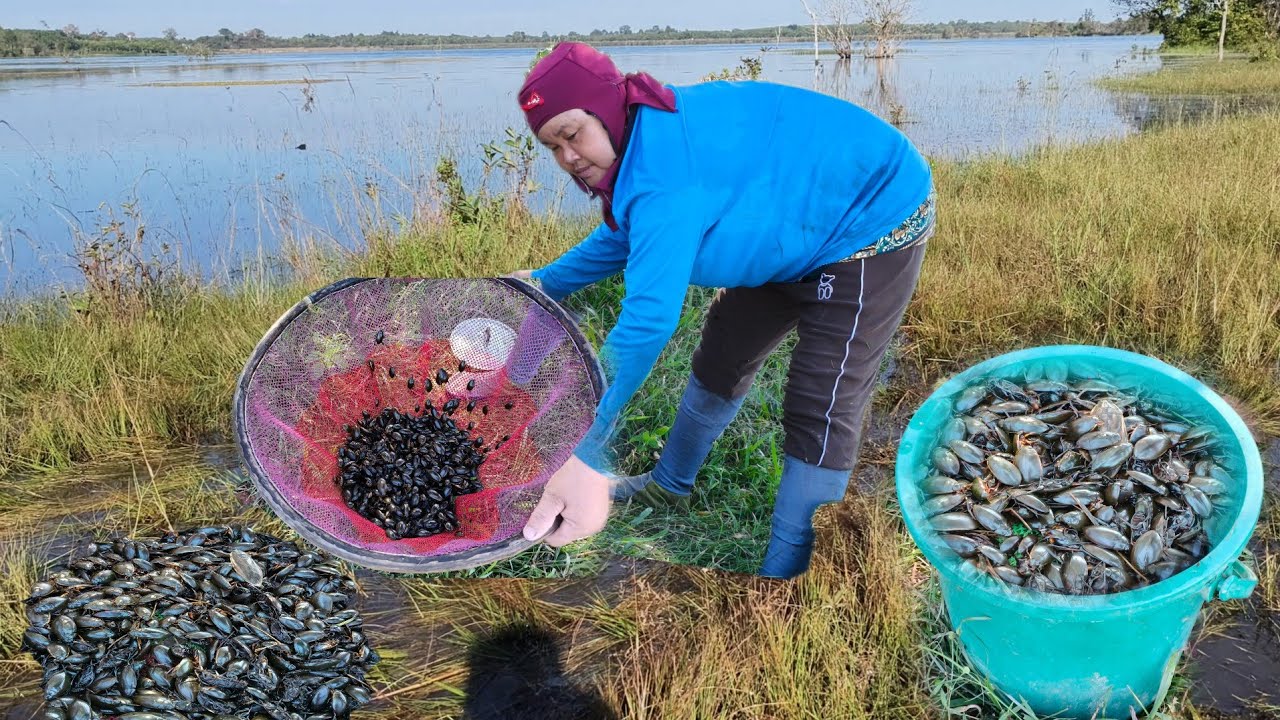 ป้าด!!วันนี้หาส่อนแมงตับเต่าหมายเดิมอ่างเก็บน้ำบ้านบกยังคงหมานสุดๆส่อนแต่ละทีมีเฮตลอดหมานเป็นถัง