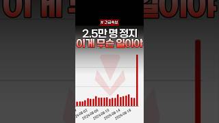 제로핑 대표 영상 썸네일