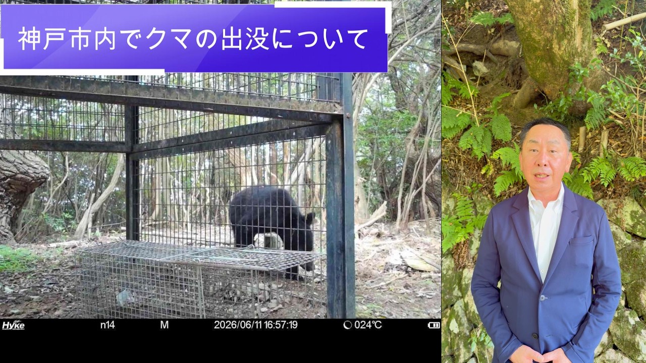【神戸市クマ目撃】他人事ではない!初夏のツキノワグマ対策と身を守る防犯アプリ(坊やすなが)