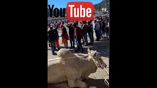 San Juan Chamula Chiapas