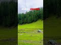 Jai Valley Bhaderwah 🫶😍. #travel #mountains #clouds #nature #jammukashmir