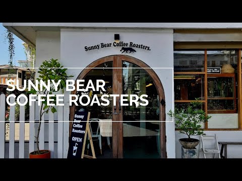 Sunny Bear ร้านกาแฟน่ารัก ขนาดเล็ก ริมถนนพหลโยธิน | gettydiary