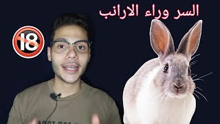 تعذيب الحيوانات و لماذا اختيار الارانب في التجارب تحديدا و ترجمة فيلم رادولف