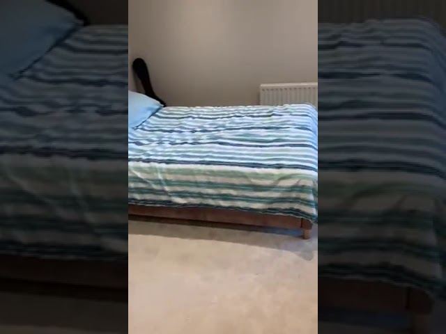 Video 1: YOUR BEDROOM