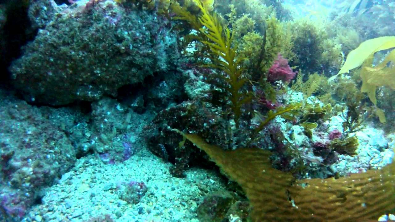 CasinoPoint Dive Part 2