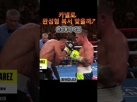 카넬로, 완성형 복서 맞을까? #복싱 #카넬로 #복싱쇼츠
