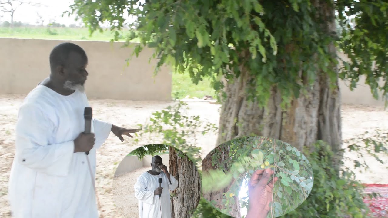 Kéemaan yi yàlla def ci garabu Ngéejaan ak limu mana faj, par S Modou Gueye Gandigal borom nebbé