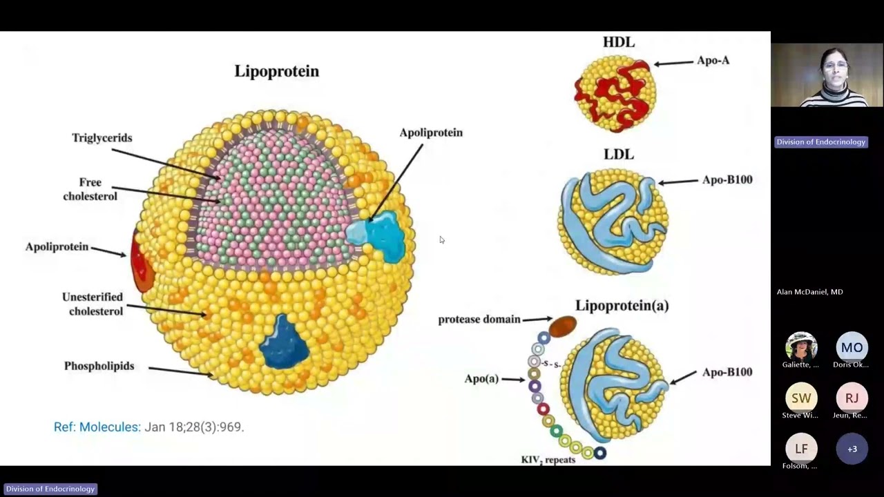 UofL Endocrinology Grand Rounds: Dr. Swapna Dharashivkar Deo