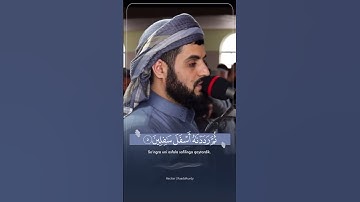 القارئ : رعد محمد الكردي سورة التين |        Surah At-Ten