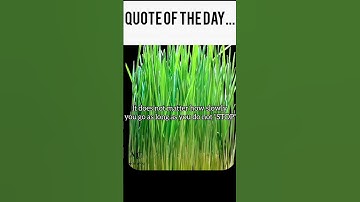 Keep moving forward 💪 Every small step counts! Don’t stop, keep growing 🌱#Motivation #Keepgoing