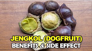Jengkol (Dogfruit) Benefits and Side Effects