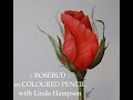 Full length tutorial of 'Rosebud' Botanical Coloured Pencil Drawing with Linda Hampson