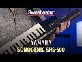 Yamaha Sonogenic SHS-500 Keytar Demo — Daniel Fisher