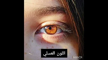 أجمل الوان عيون في العالم 