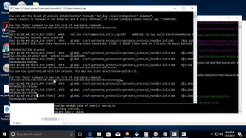 Electroneum CLI Wallet  Using and Fixing Common Issues for Beginners