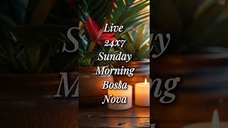 Sunday Morning Bossa Nova ☕ Tropical Café Vibes