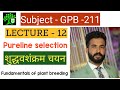 Pureline selection | Gpb211 | fundamentals of plant breeding | bsc Agriculture plant breeding |