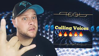 🌀Tool🌀 Culling Voices Reaction!