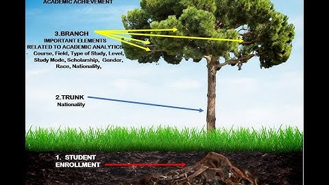 Academic Analytics RFTI UTM 2006-2020 Assessment Review by Tableau Software