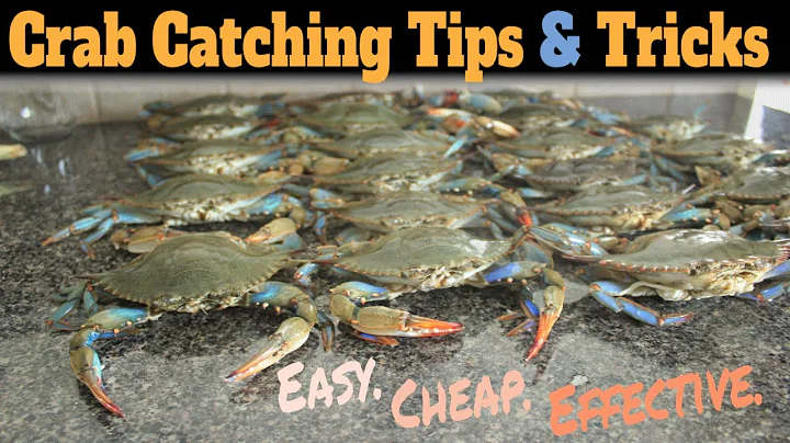 How To Catch Blue Crabs **EASY** - Blue Crab Fishing - Best Way To Catch Blue Crabs | SFSC