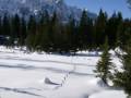 Una passeggiata invernale in quota.