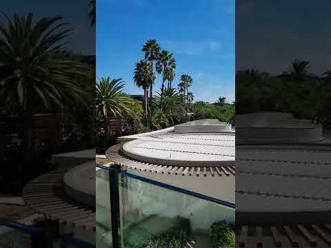 Classic Speed Blackjack 36 | TAKING DOWN THE HOUSE WITH BIG BETS LIVE AT AGUA CALIENTE CASINO!