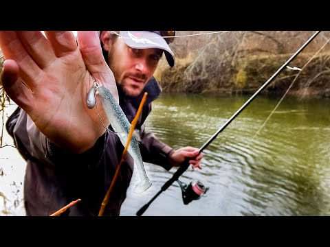 Видео: Джиг-риг косит щуку, как правильно ловить. Ловля щуки на джиг риг осенью на реке. [Пора ловить щуку]