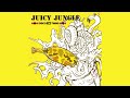 Disco K2 Twins - Juicy Jungle (DK2T Mix)