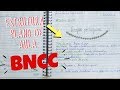 Aprenda como estruturar um PLANO DE AULA seguindo a BNCC | Maira Borges