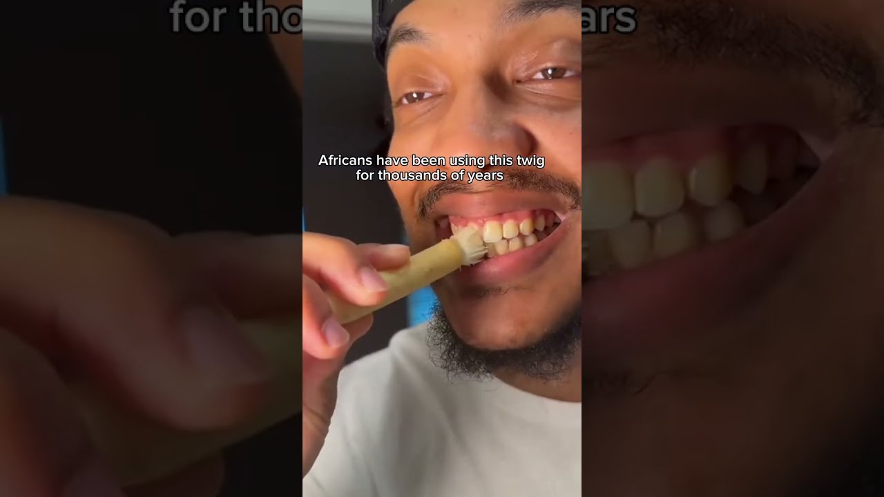 Would You Try The Miswak Toothbrush Cavities Teethwhitening