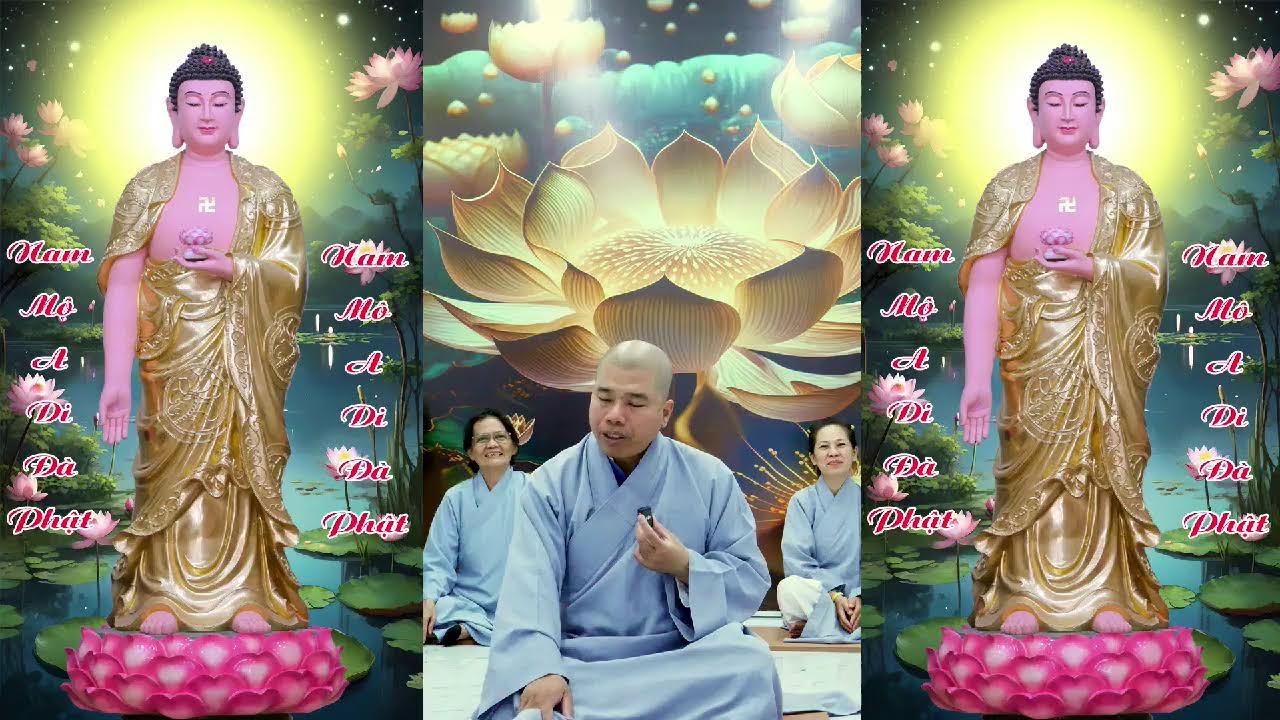 🎥🔴Trực Tiếp : CỘNG TU NIỆM PHẬT, LỄ PHẬT 9H00P-10H00P - CÙNG CƯ SĨ HIỀN ĐỨC Chân Thành Niệm Phật VLT
