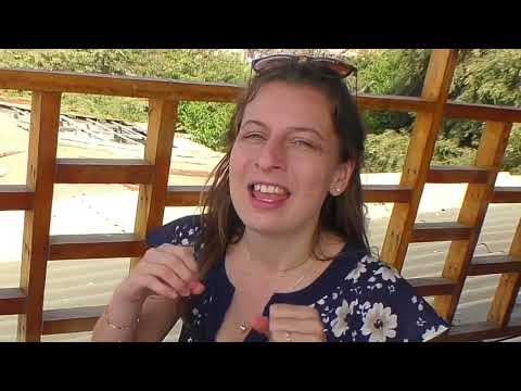 caballito de mar en alemán 🇩🇪