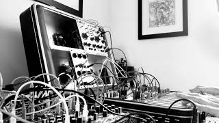 Buchla 208 Pulser modulation.