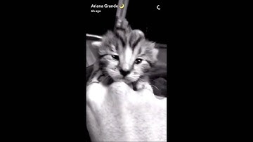 Ariana Grande Snap Story August 14, 2016 [HD]
