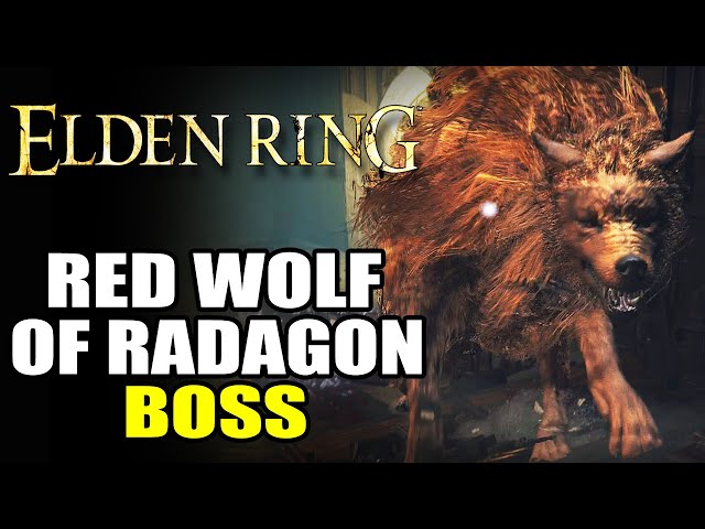 How to Beat Red Wolf of Radagon: Boss Fight Guide