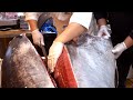 [Full Version]  210kg GIANT BLUEFIN TUNA FISH CUTTING Sashimi Bowl  / Spanish Oversized Tuna