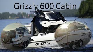 :   GRIZZLY 600 Cabin  .   ??