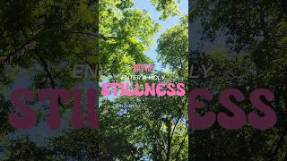 Enter a divine stillness | Day 112 guided meditation
