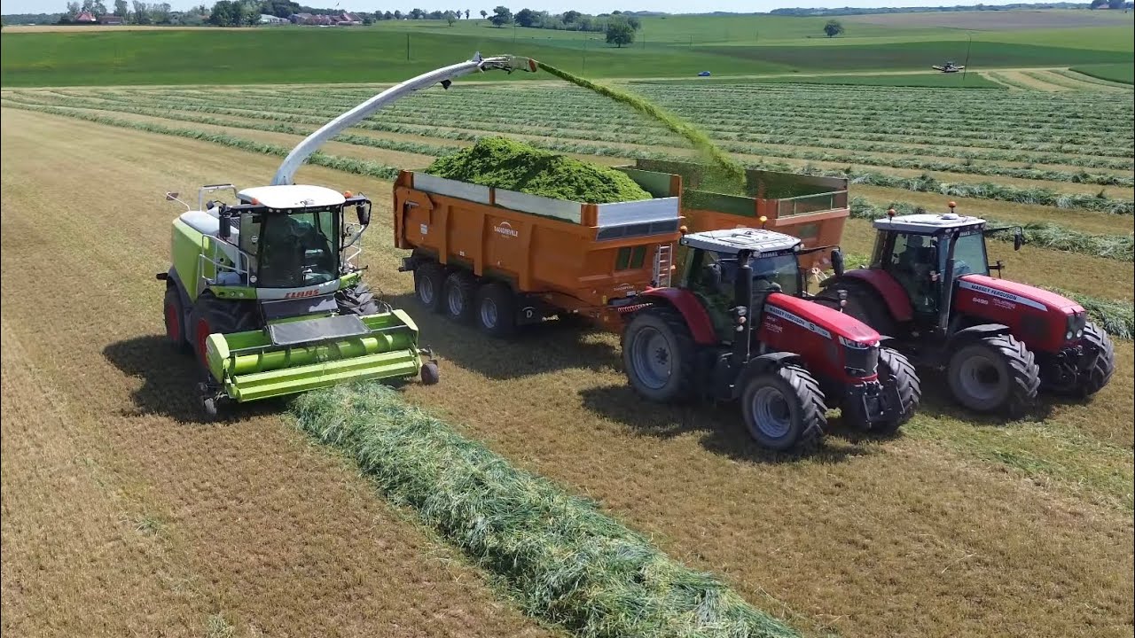 Ensilage XL de triticale immature pour un MÉTHANISEUR avec un JOHN DEERE 9510 RT sur le tas