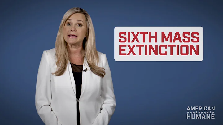 American Humane - Arks of Hope