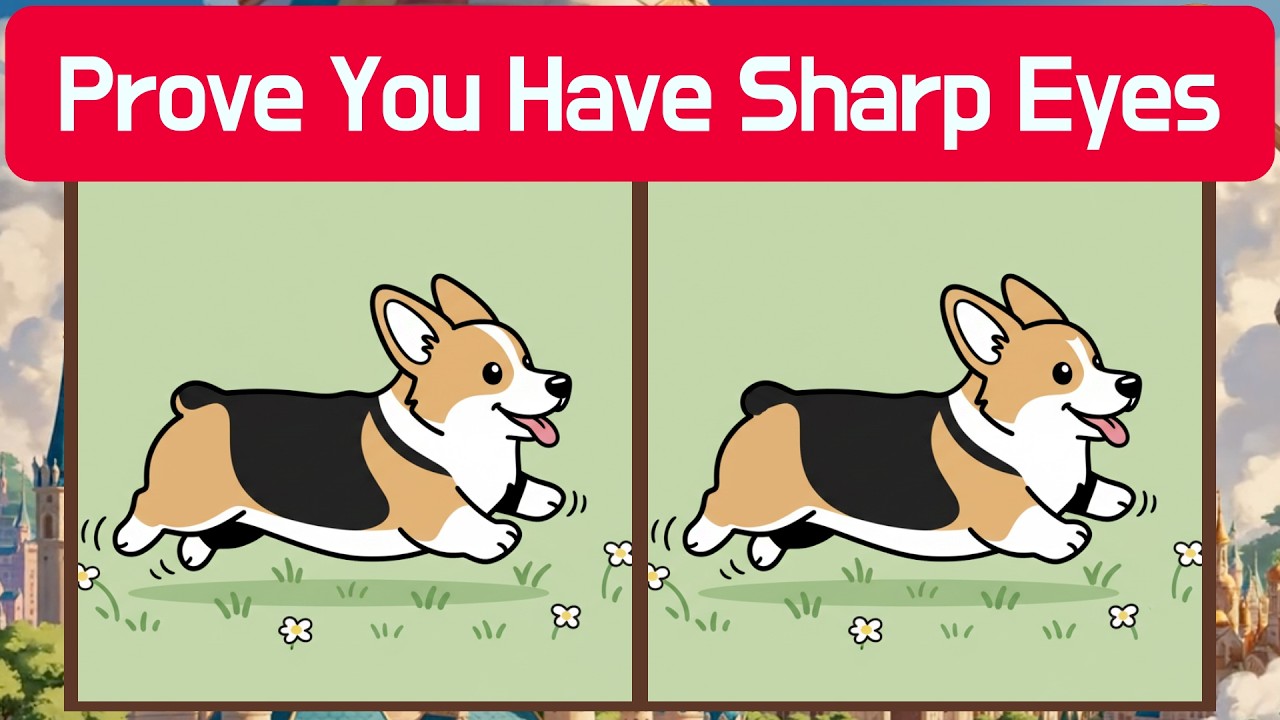 🦉 Prove You Have Sharp Eyes | Detective Owl 🦉