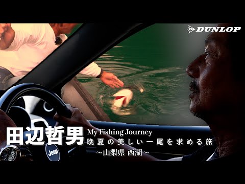 田辺哲男 晩夏の美しい一尾を求める旅 ～山梨県 西湖～ - YouTube