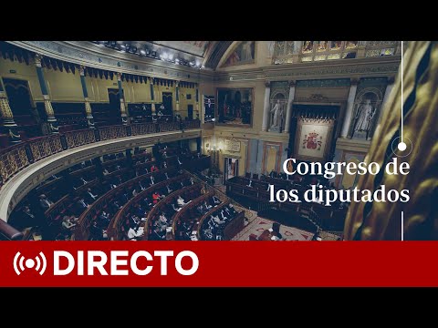 🔴 En directo: el Pleno del Congreso toma en consideración la proposición de ley orgánica de amnistía