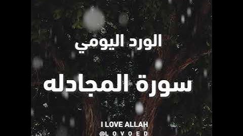 سورة المجادلة ياسر الدوسري من الاية 1 الي 4