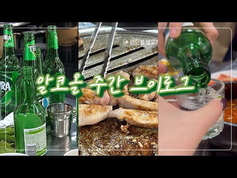 [일상vlog] 유투브하는게 최고 놀림감이된 여자의 브이로그 쌀쌀하니 소주땡기네