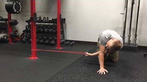 Quadruped Thoracic Rotation with band