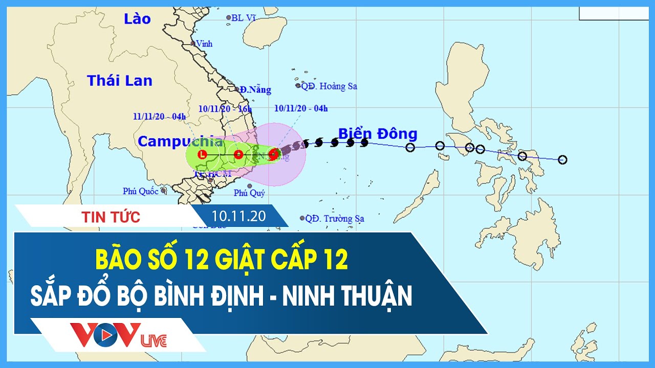 Ghim Của My Tran Tren Vov Live Youtube