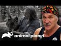 Trabajos voluntarios de Dr.Jeff | Dr. Jeff, Veterinario | Animal Planet