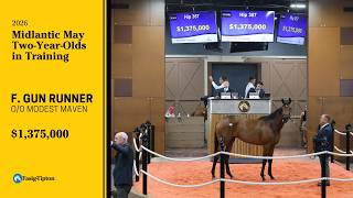Gun Runner filly o/o Modest Maven sells for $1,375,000 at Midlantic May 2YO Sale (2026)