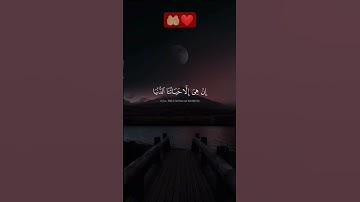 سورة المؤمنون ❤️ | القارئ ياسر الدوسري #قرآن #الله #الحمدلله #ياسر_الدوسري | اكتب شيئ تؤجر عليه 🤲🏽